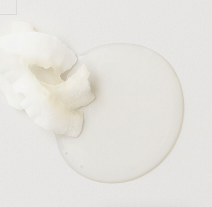 Sleeek Argan & Coconut Conditioner