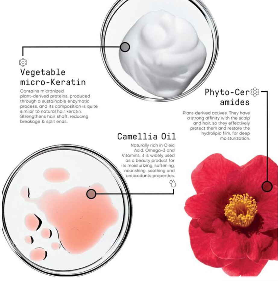 Morphosis Repair Rich Treatment