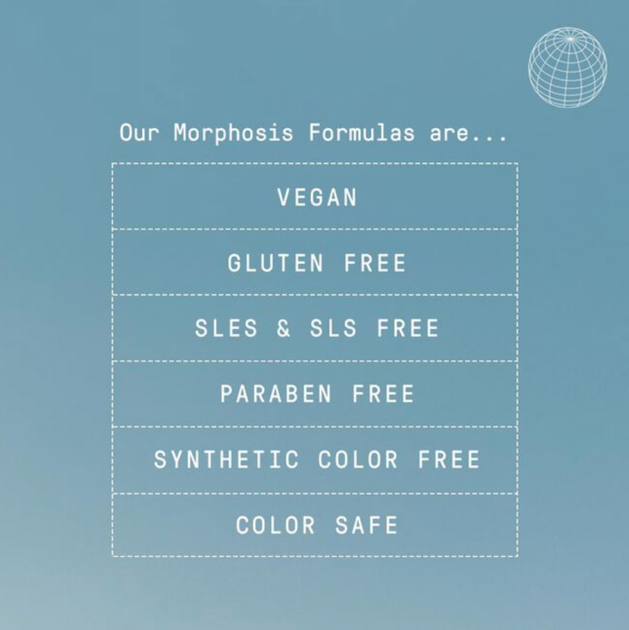 Morphosis Repair Rich Treatment