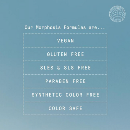 Morphosis Repair Rich Treatment