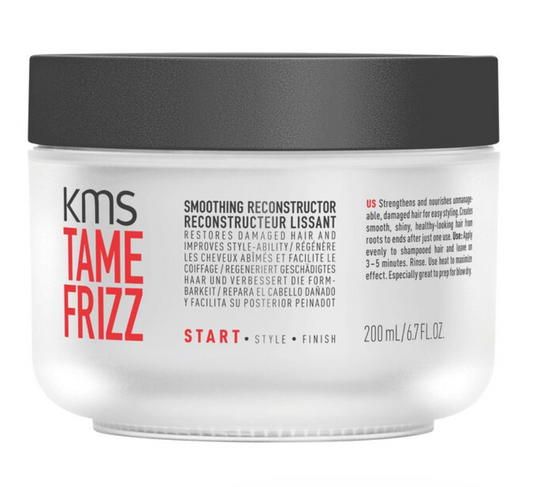 TAMEFRIZZ Smoothing Reconstructor