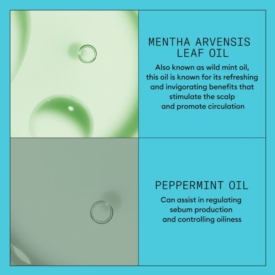 System 3 Scalp + Hair Conditioner