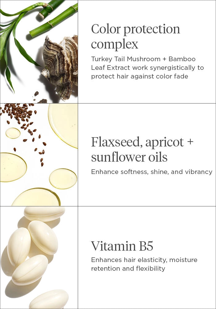 Briogeo Color Me Brilliant™ Mushroom + Bamboo Hair Color Protectant Conditioner