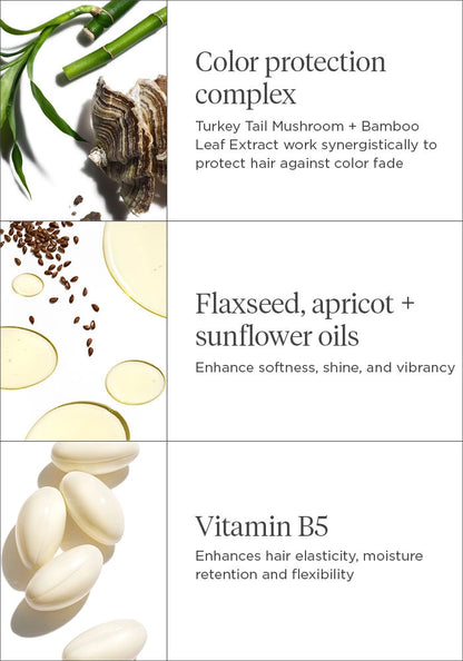 Briogeo Color Me Brilliant™ Mushroom + Bamboo Hair Color Protectant Conditioner